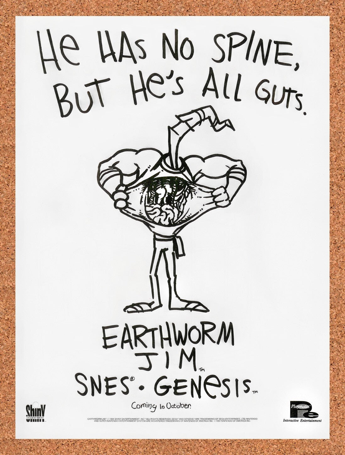 1994 Earthworm Jim Genesis Original Advertisement / Retro Wall Art v11