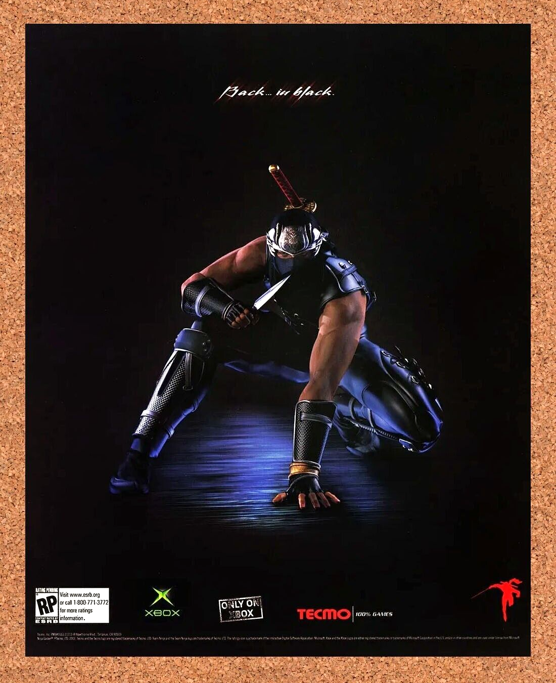 Ninja Gaiden Xbox Original 2005 Ad Authentic Tecmo Retro Video Game Promo v1