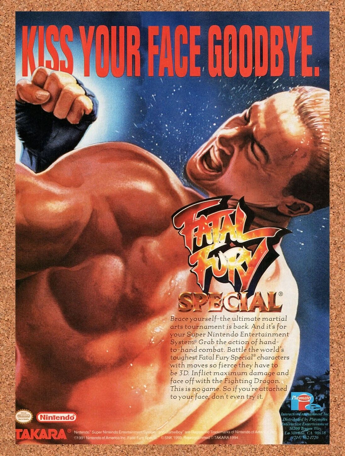 1995 Fatal Fury Special SNES Original Advertisement / Retro Wall Art v3