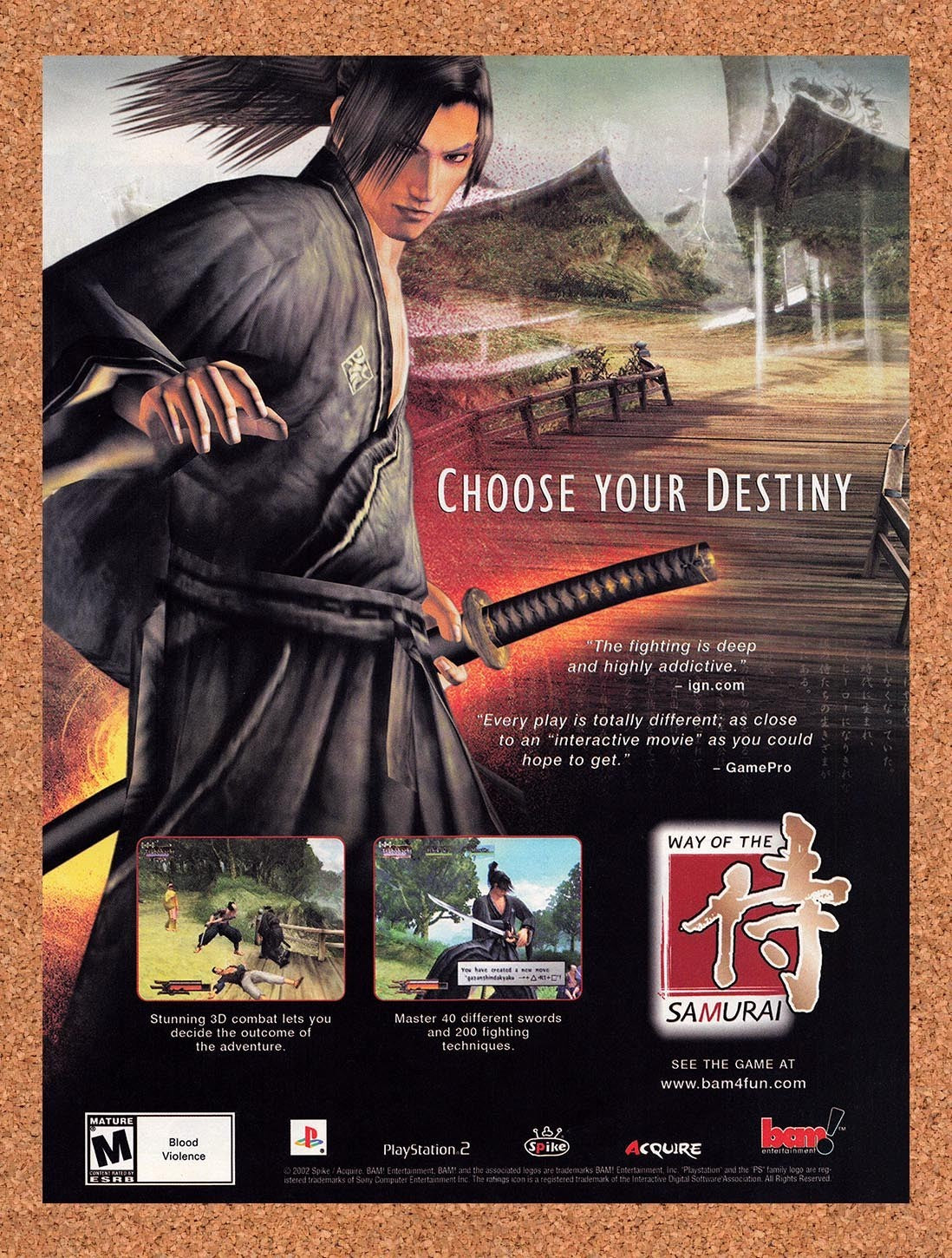 2002 Way Of The Samurai PS2 Original Advertisement / Retro Promo v1