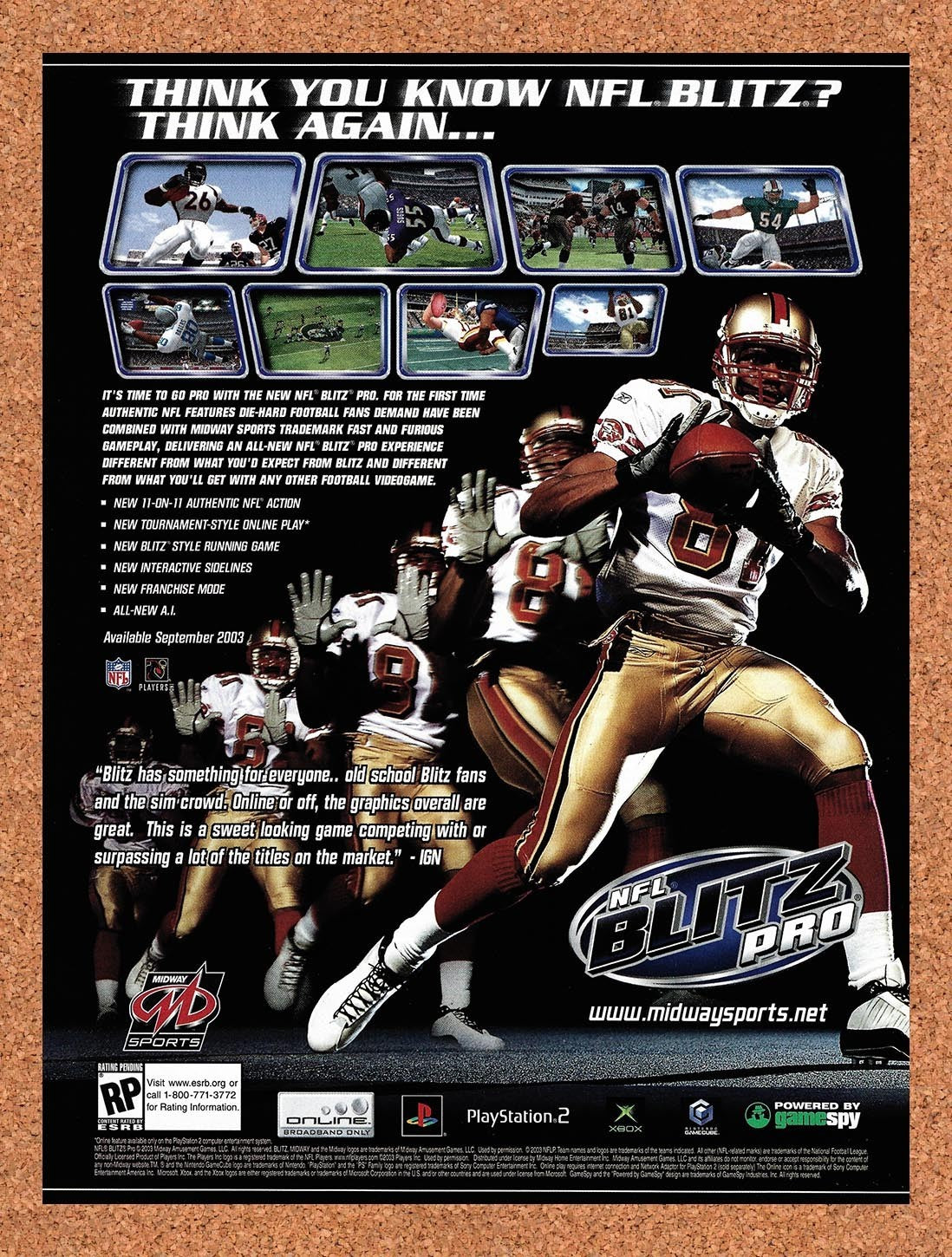 2003 NFL Blitz Pro PS2 Original Advertisement / Retro Promo v1