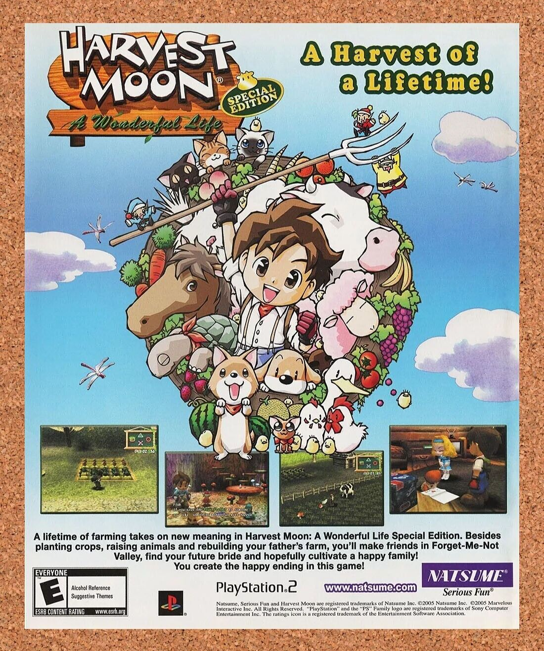 Harvest Moon A Wonderful Life PS2 Original 2005 Ad Authentic Video Game Promo v1