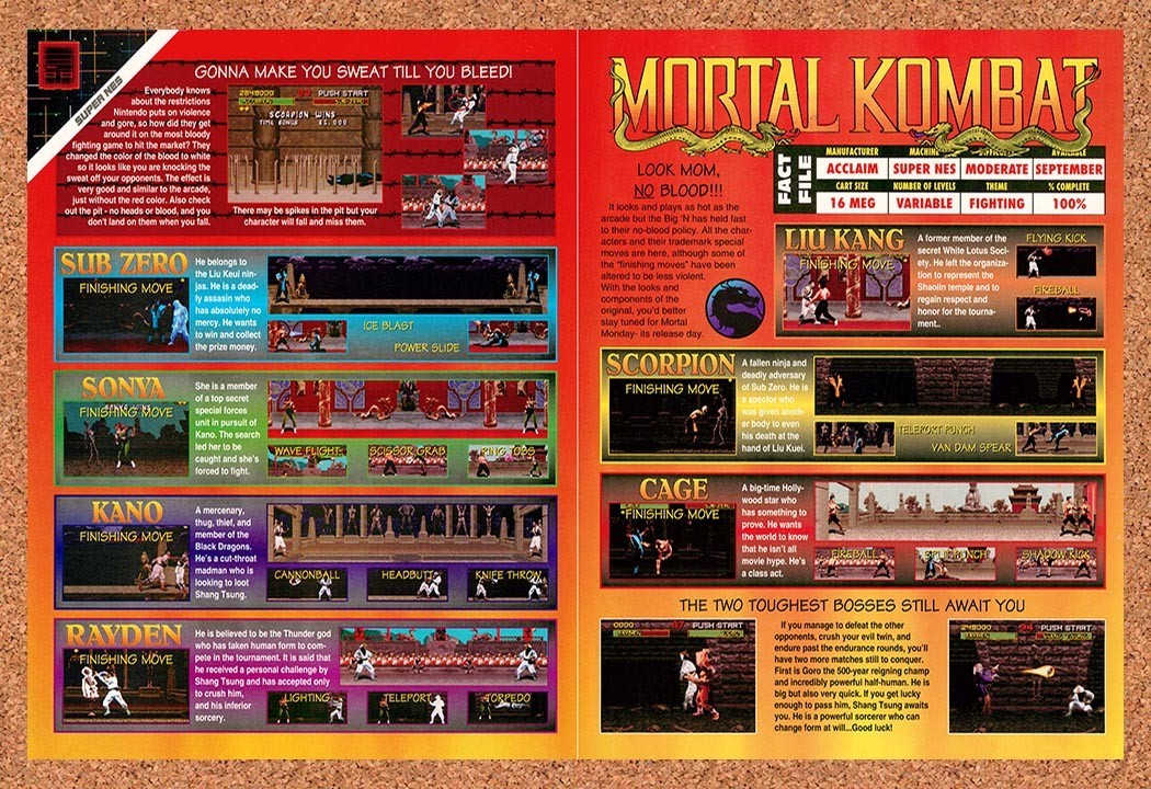 1993 Mortal Kombat Character Profiles Original Advertisement / Retro Promo v30