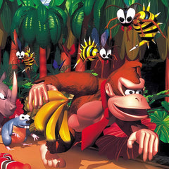 Donkey Kong Collection