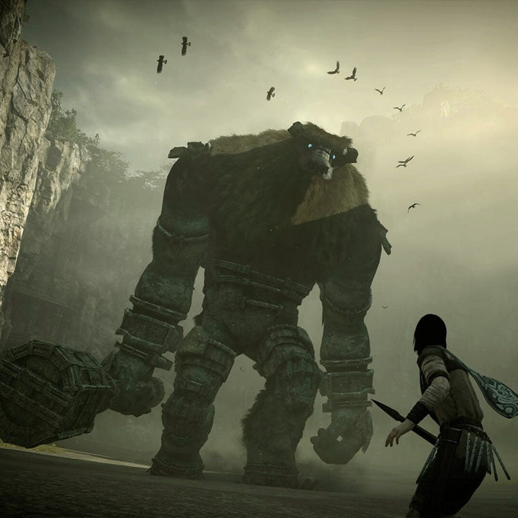 Shadow Of The Colossus/Ico Collection