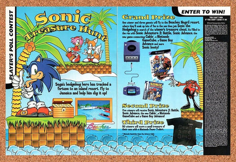 Sonic Treasure Hunt Sweepstakes Original 2002 Vintage Ad - Video Game Promo