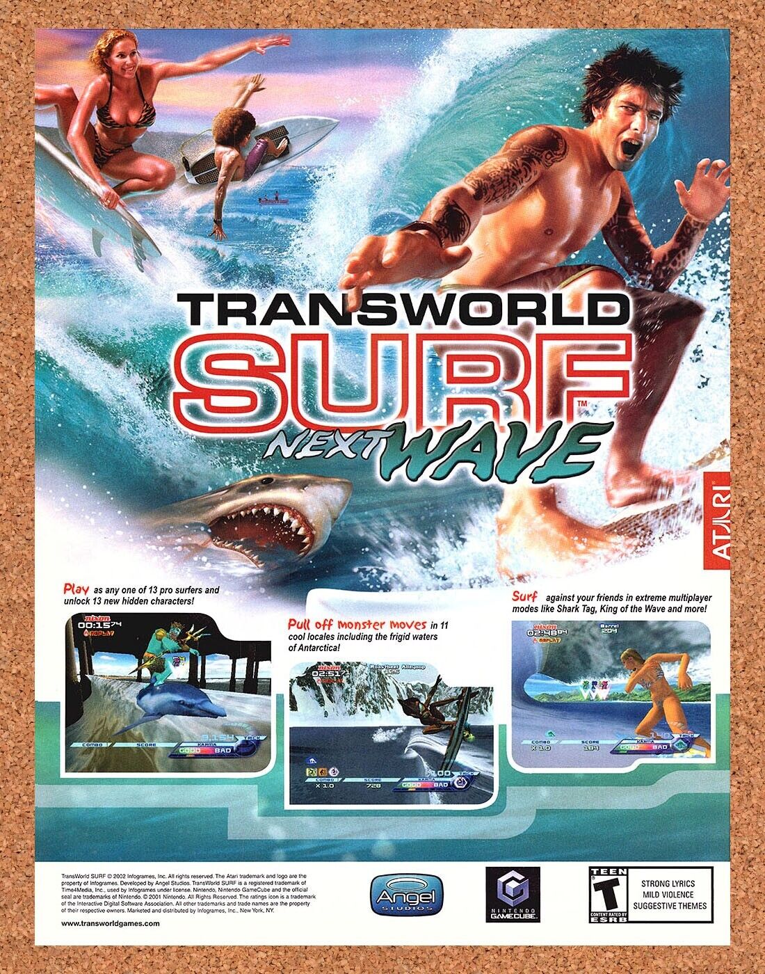 Transworld Surf Next Wave GameCube Original 2003 Ad Authentic Video Game Promo