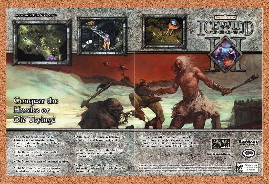 Icewind Dale 2 PC Original 2003 Ad Authentic Dungeons Dragons Video Game Promo