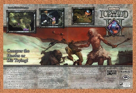 Icewind Dale 2 PC Original 2004 Ad Authentic Dungeons Dragons Video Game Promo