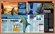 2001 Ecco The Dolphin Defender Of The Future Dreamcast Original Ad vr2