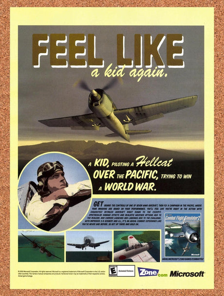 2001 Combat Flight Simulator WW2 Pacific Theater PC Original Ad / Promo v1