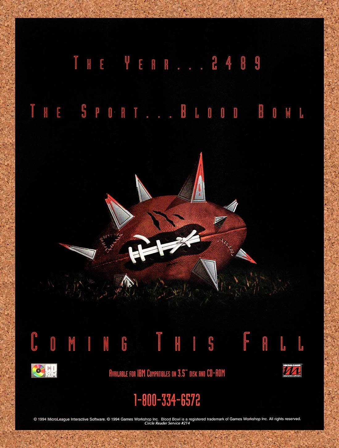 1994 Blood Bowl IBM Original Advertisement / Retro Promo v1