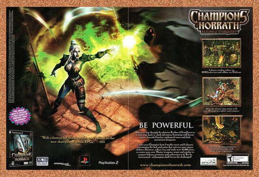 Champions Of Norrath PS2 Original 2002 Vintage Ad - Dark Elf Video Game Promo