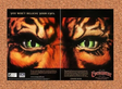 Everquest 2 PC II Original 2006 Ad Authentic Windows SOE Video Game Promo