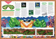1993 Battletoads Genesis Original Advertisement / Retro Wall Art v5