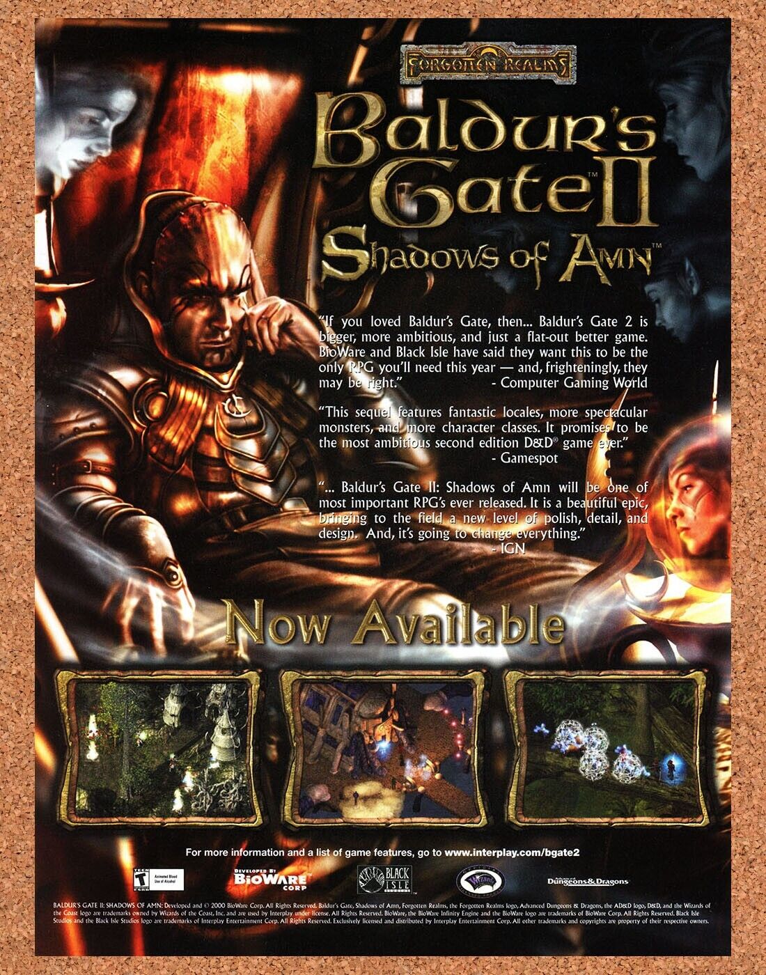 Baldur's Gate II Shadows Of Amn PC Original 2000 Ad Authentic Video Game Promo