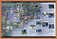 1999 Final Fantasy VIII Galbadia Garden Map Original Advertisement / Promo vr5