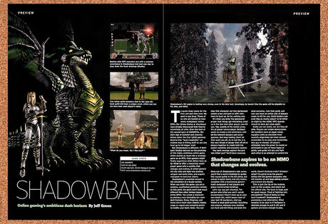 2002 Shadowbane PC Original Advertisement / Retro Promo vr2