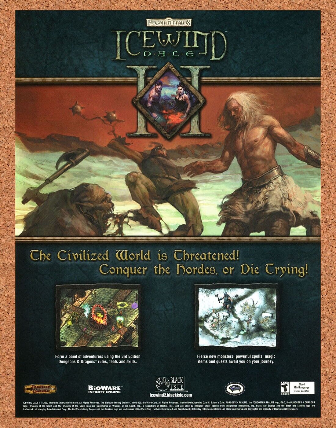 Icewind Dale II PC Original 2003 Print Ad Authentic D&D RPG Video Game Promo