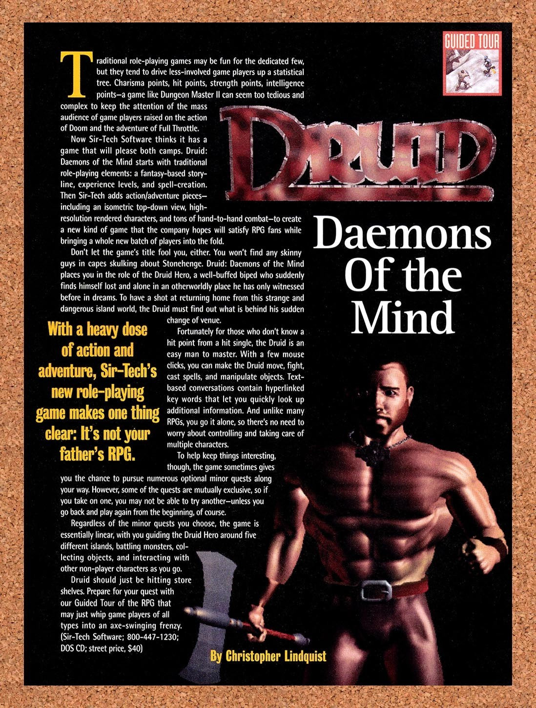 1996 Druid Daemons Of The Mind PC Original Advertisement / Retro Promo v2