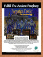 1994 Forgotten Castle The Awakening PC Original Advertisement / Retro Promo v1