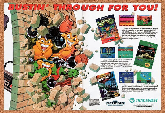 1992 Battletoads Tradewest NES Games Original Advertisement / Retro Wall Art v6
