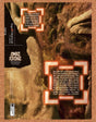 Zombie Revenge Dreamcast Original 2002 Vintage Ad - Video Game Promo