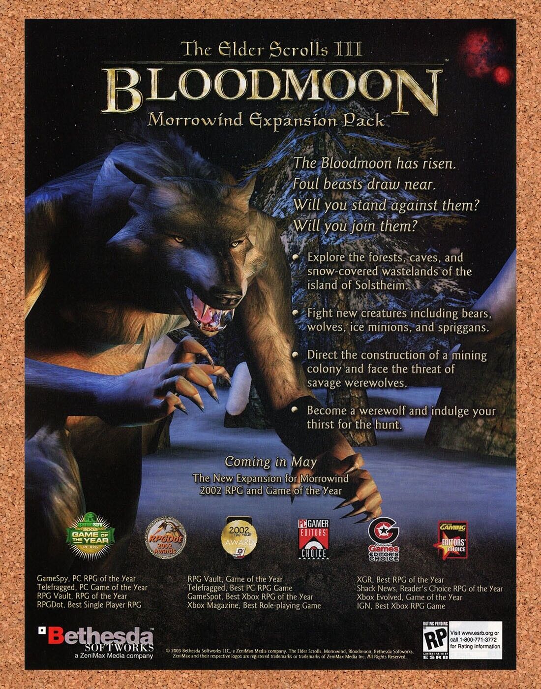 Elder Scrolls III PC Bloodmoon Original 2004 Ad Authentic RPG Video Game Promo