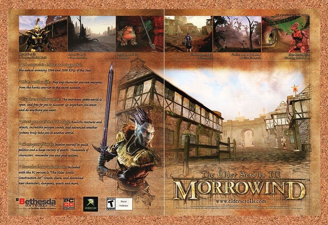 Elder Scrolls III PC Morrowind Original 2003 Ad Authentic Sierra RPG Game Promo