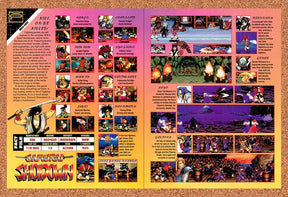 1993 Samurai Shodown Neo Geo Original Advertisement / Retro Promo v4