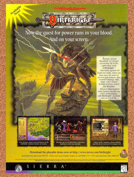 1997 Advanced Dungeons & Dragons Birthright PC Original Ad / Retro Promo v1