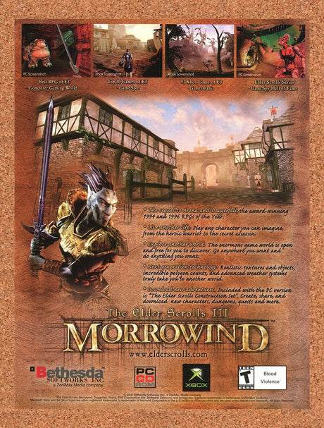 2002 Elder Scrolls III Morrowind PC Original Advertisement / Retro Promo v1