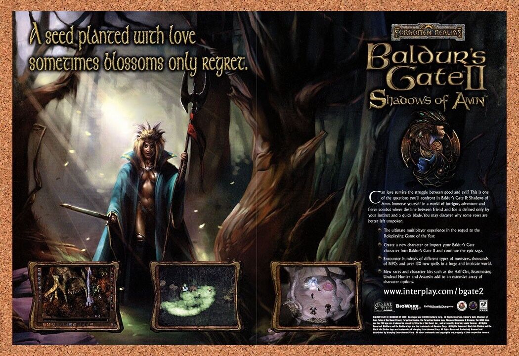 Baldurs Gate II Shadows Of Amn PC Original 2001 Ad Authentic Video Game Promo