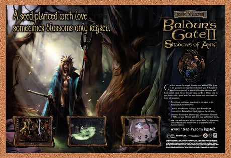 Baldurs Gate II Shadows Of Amn PC Original 2002 Ad Authentic Video Game Promo