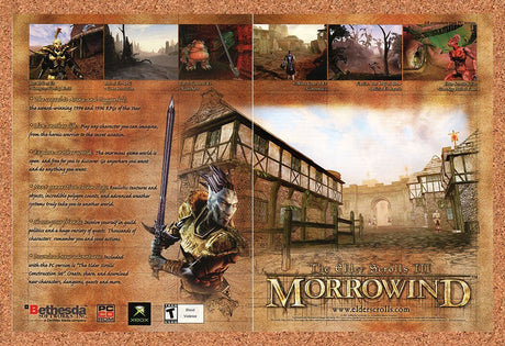 2002 Elder Scrolls III Morrowind PC Original Advertisement / Retro Wall Art v2