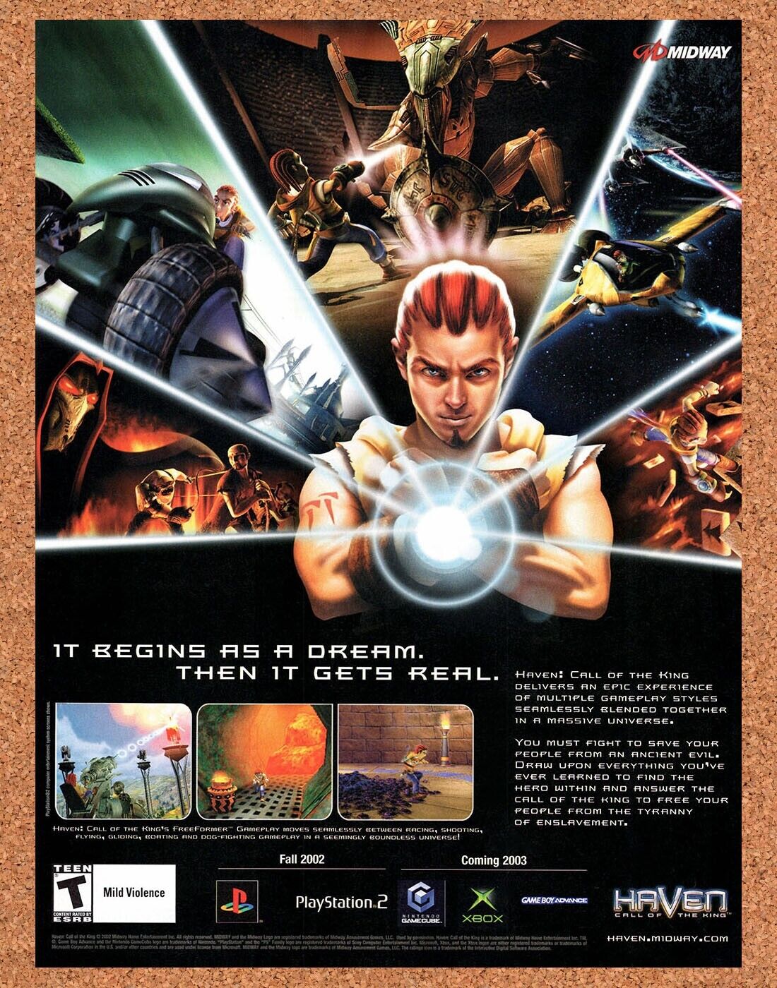 Haven Call Of The King PS2 Original 2003 Vintage Ad - Video Game Promo