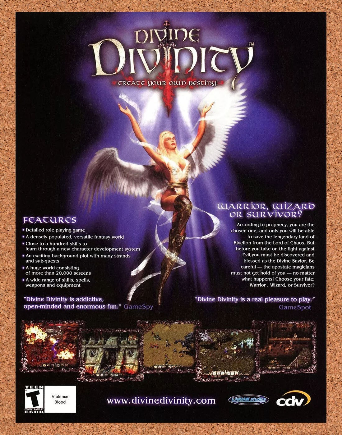 Divine Divinity PC Original 2005 Ad Authentic Action RPG Video Games Promo