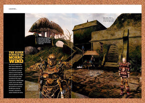 2002 Elder Scrolls III Morrowind PC Original Advertisement / Retro Promo vr2