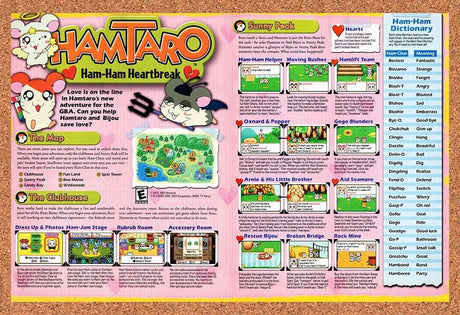 Hamtaro GBA Original 2003 Vintage Ad - Game Boy Video Game Review Promo