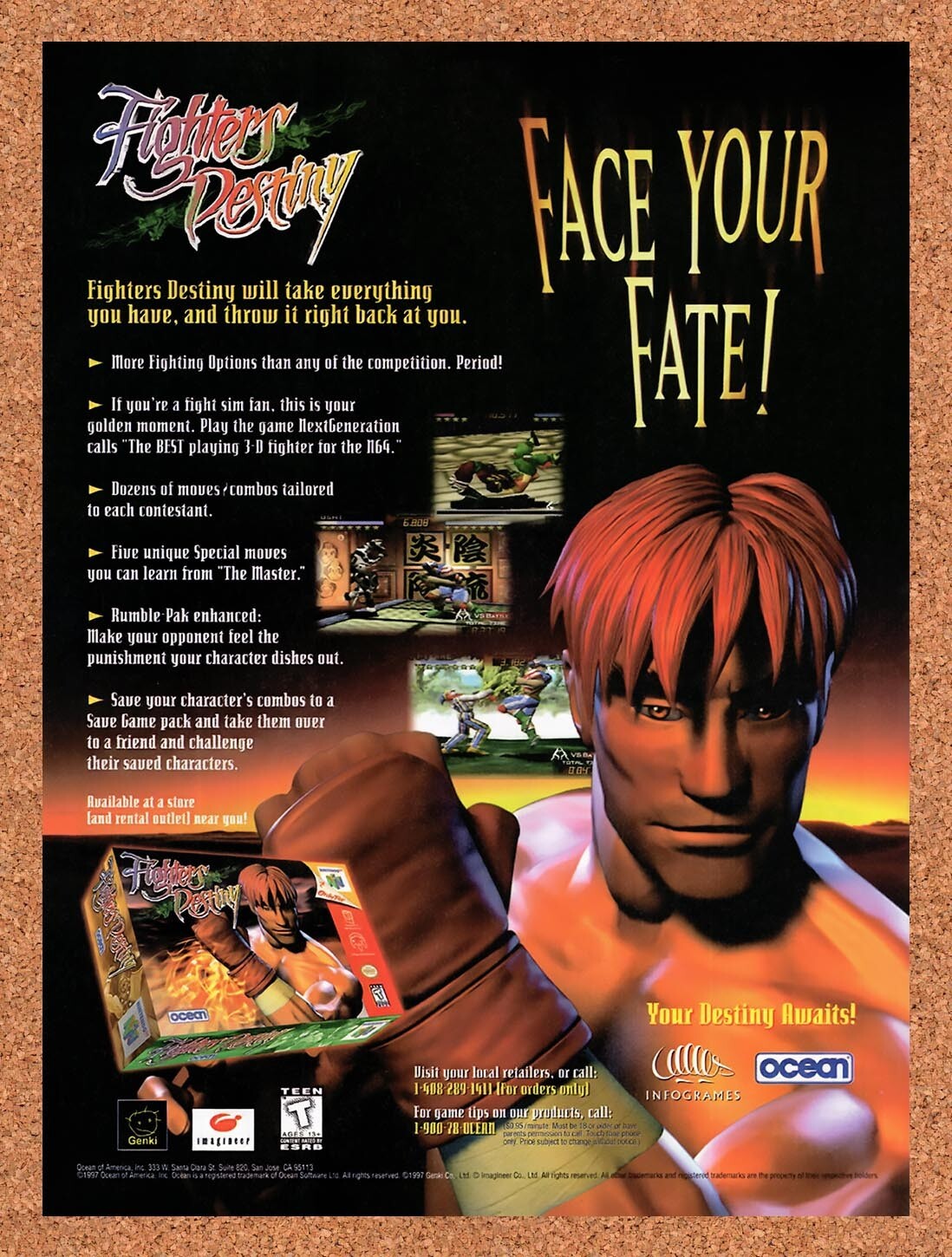 1998 Fighters Destiny N64 Original Advertisement / Retro Wall Art v1