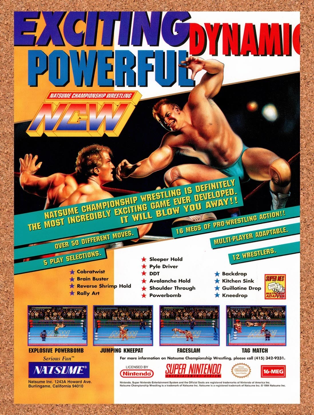1994 Natsume Championship Wrestling SNES Original Advertisement / Retro Promo v1