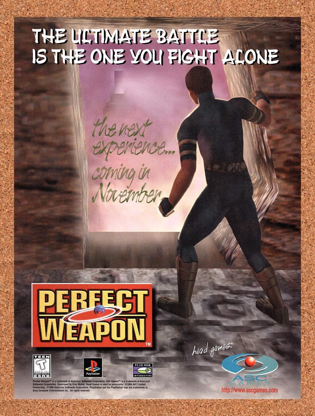 1996 Perfect Weapon PS1 Original Advertisement / Retro Promo v1