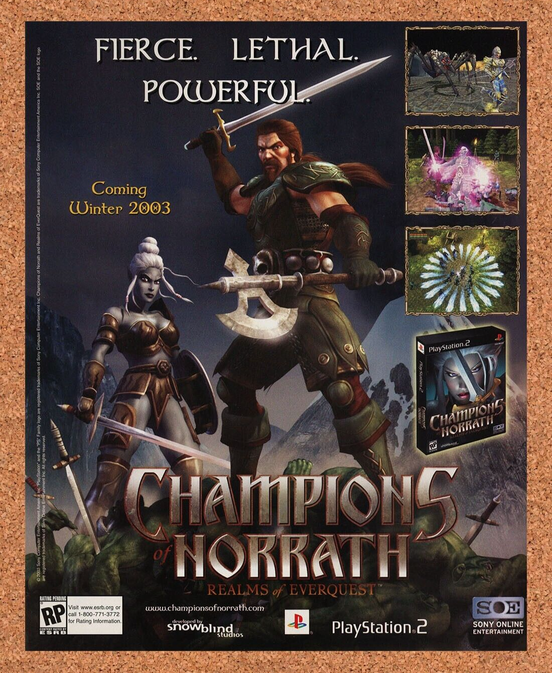 Champions Of Norrath PS2 Original 2004 Ad Authentic SOE MMO Video Game Promo