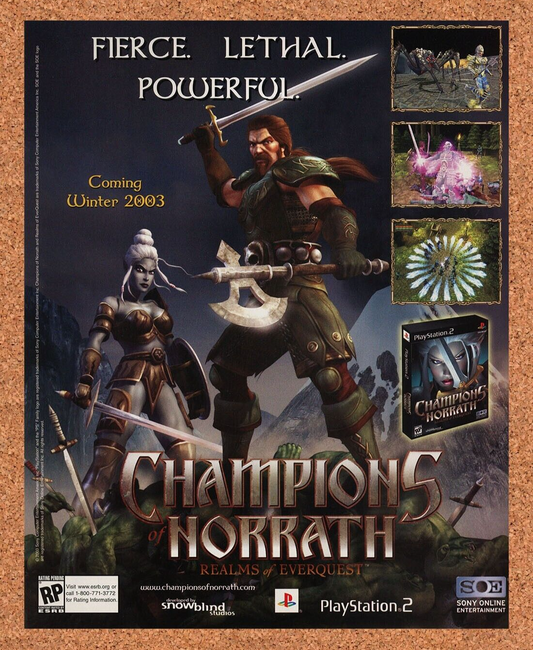 Champions Of Norrath PS2 Original 2004 Ad Authentic SOE MMO Video Game Promo