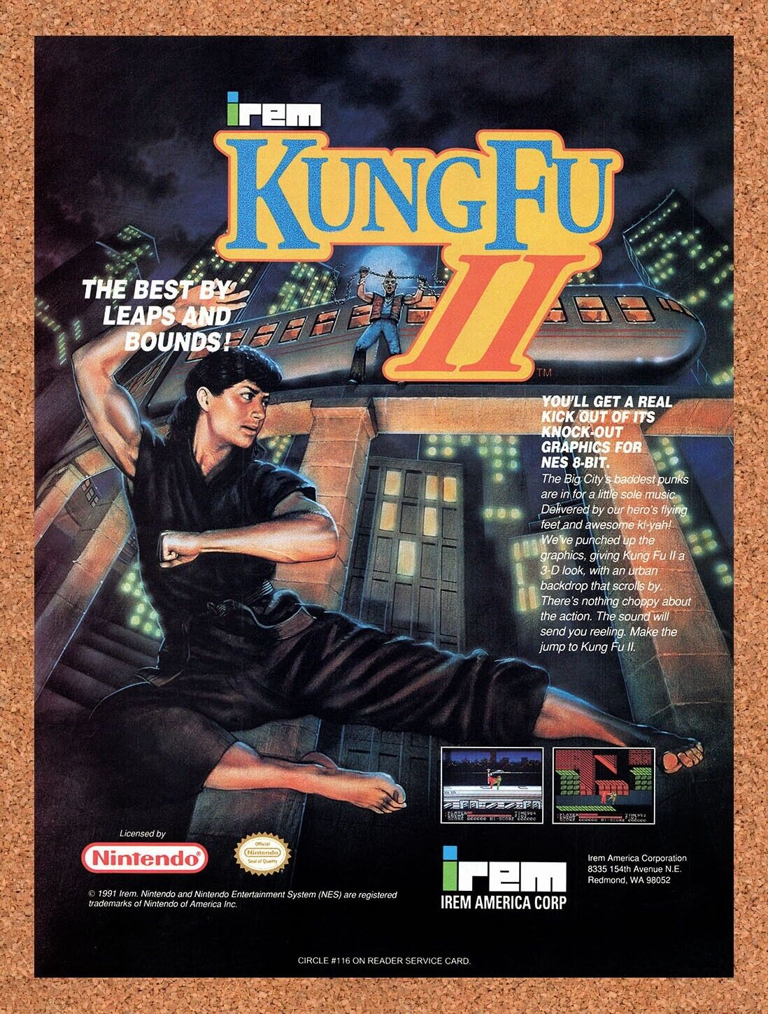 1991 Kung Fu II NES Original Advertisement / Retro Wall Art v1