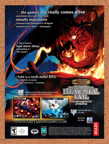 2004 Dungeons & Dragons Temple Of Elemental Evil PC Original Ad / Promo v1