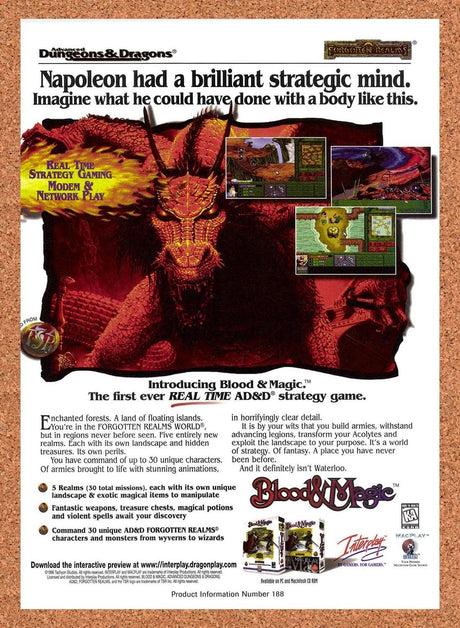 1996 Advanced Dungeons & Dragons Blood & Magic PC Original Ad / Promo v1