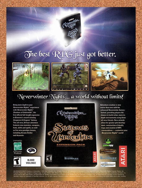2003 Neverwinter Nights The Shadows Of Undrentide PC Original Ad / Wall Art v3