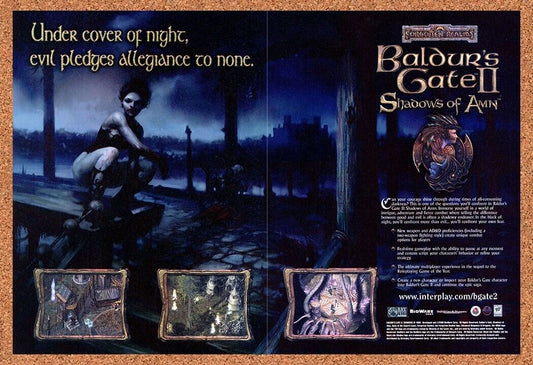 Baldurs Gate II Shadows Of Amn PC v6 Original 2001 Ad Authentic Video Game Promo