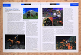 2001 EverQuest Shadows Of Luclin Horse Travel Reveal Original Ad / Promo v7